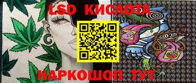 твердый Гусев